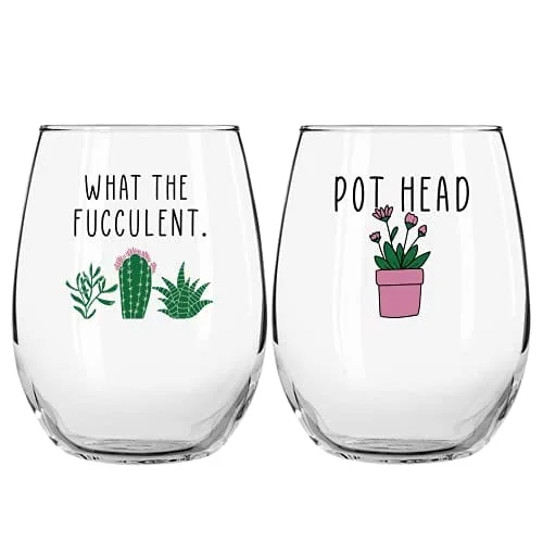 Quirky slogan coffee mugs-Succulent Plant Cactus Gifts for Women- Set of 2 Funny Wine Glasses 15oz - Plant Lover Gift Mug - What the Fucculent- Pot Head Crazy - Plant Lady Wine Glass Tumbler - Custom Stemless Wine Glasses