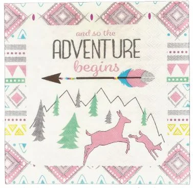 Designer glass teacups-The Adventure Begins Girl Lunch Napkins | 16ct