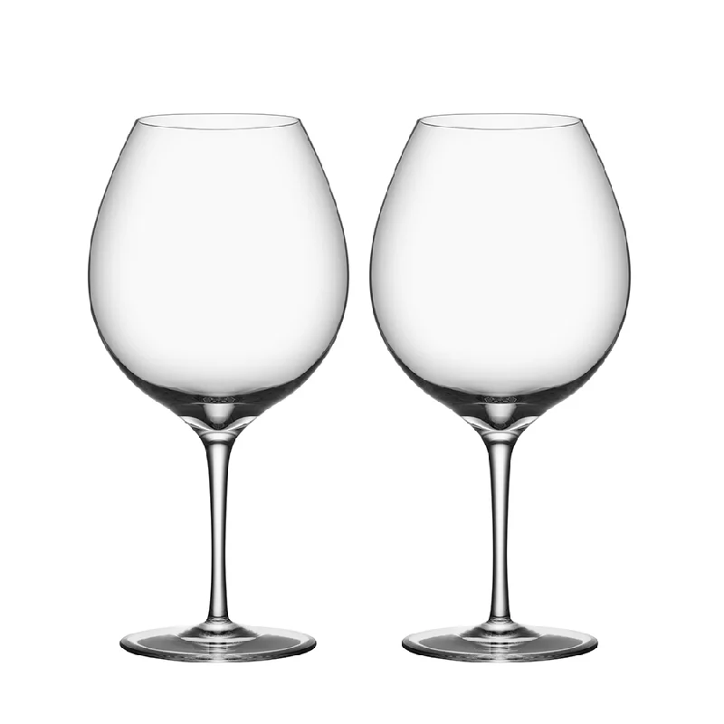 Durable enamel travel cups-Premier Pinot Noir Glass, Set of 2