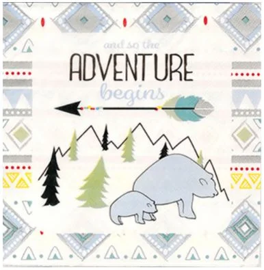 Elegant silver serving bowls-The Adventure Begins Boy Lunch Napkins | 16ct