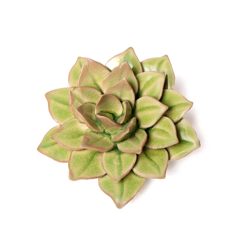 Cute bear-themed wall art-Ceramic Flower Wall Art Green Medium Succulent