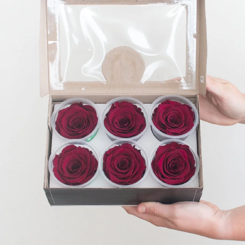 Cute cat-themed figurines-Rich Berry Red Preserved Roses