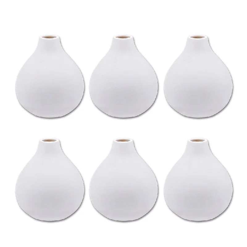 Sleek acrylic terrariums-Set of 6 Round Bud Vase Set