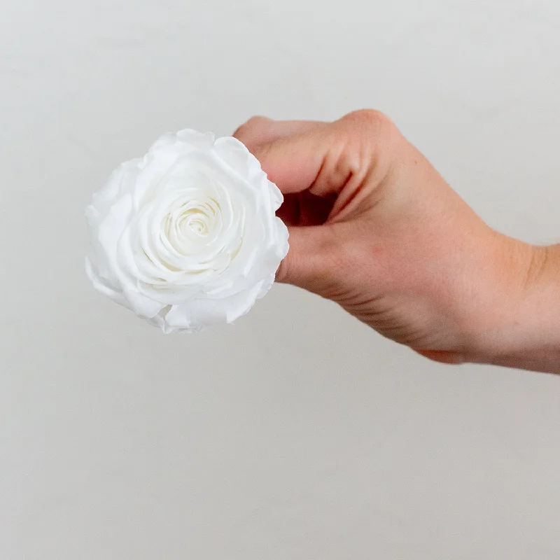 Handmade wooden photo frames-True White Preserved Roses