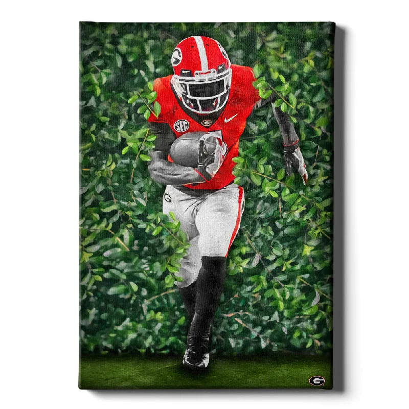 Vintage polka dot pillows-Georgia Bulldogs - Through the Hedges Oil Painting