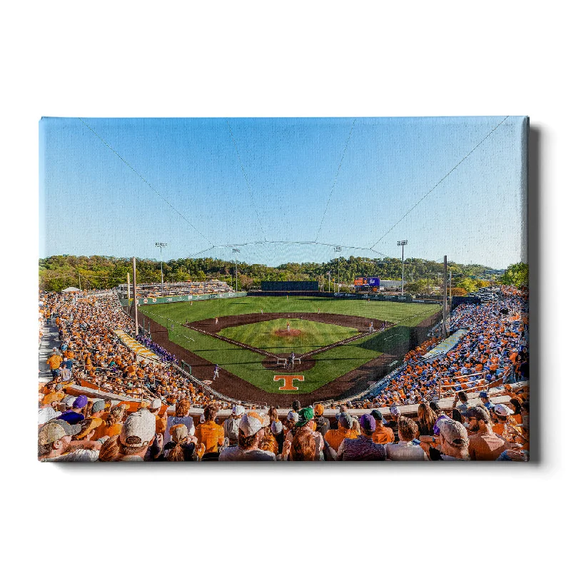 Luxury stone throw cushions-Tennessee Volunteers - Lindsey Nelson Stadium 2024