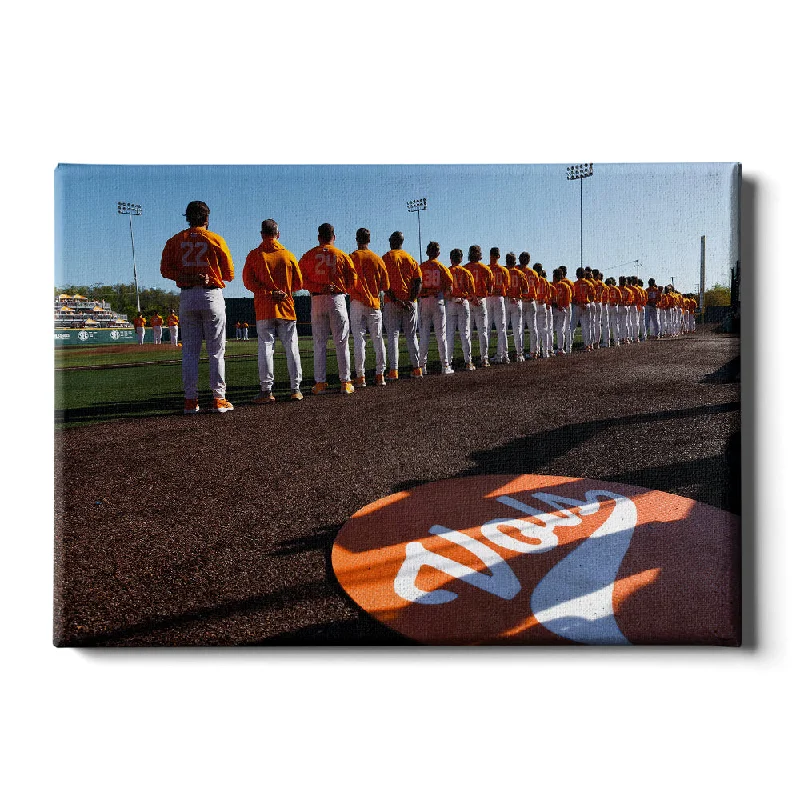 Floral embroidered cushions-Tennessee Volunteers - Vols Baseball